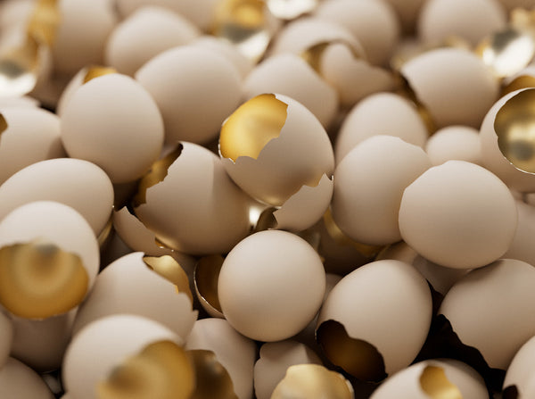 Eierschalenmembran