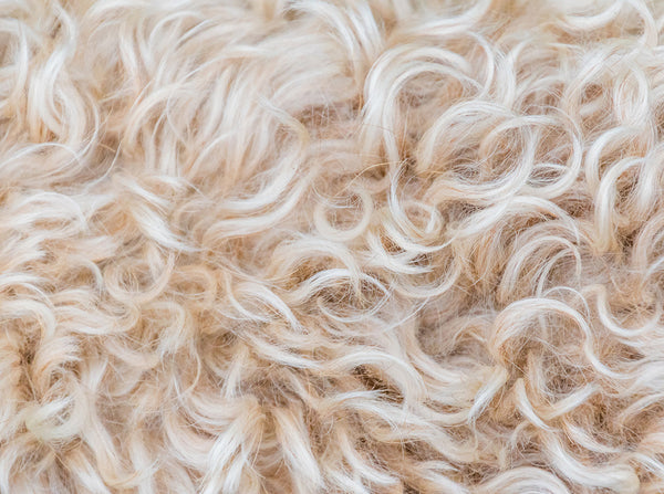 Keratin aus Schafwolle