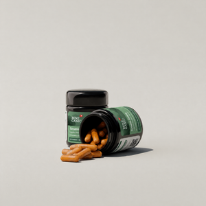 Curcumin Synergy
